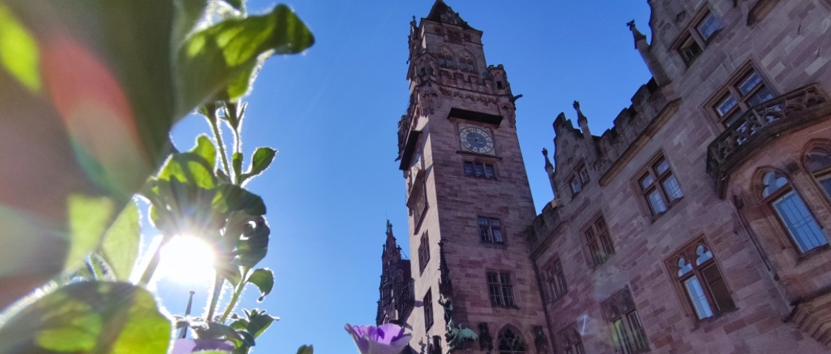 Blumen vor dem Rathaus