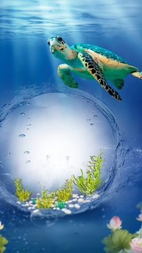 Eine Unterwasserschildkröte in der Tiefsee
