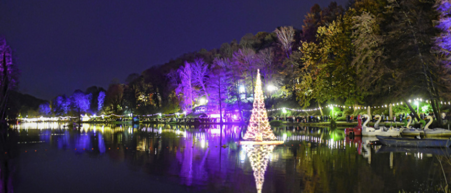 Weihnachstgarten im DFG