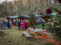 Lager Weihnachtsgarten Stände im Hintergrund, Tanne rechts Bild, mittig eine Sitzgruppe