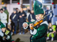 Als Elf verkleideter Mensch in grüner Kleidung spielt Geige