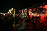 Weihnachtsgarten bei Nacht, beleuchtet, Lichter spiegeln sich im Weiher