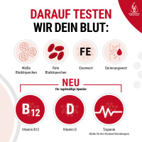 Darauf testen wir dein Blut: Weiße Blutkörperchen, Rote Blutkörperchen, Eisenwert, Gerinnungswert. Und für regelmäßige Spender Vitamin B12, Vitamin D und Troponin