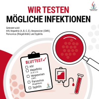 Wir testen mögliche Infektionen, Getestet wir HIV, Hepatites(A,B,C,E), Herpesvieren ,Parvovirus und Syphilis