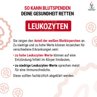 So kann Blutspenden deine Gesundheit retten, Leukozyten, Sie zeigen den Anteil der weißen Blutkörperchen an. Zu niedrige und zu hohe Werte können Anzeichen für verschiedene Erkrankungen sein: zu hohe Leukozyten-Werte können auf eine Entzündung/ Infekt im 