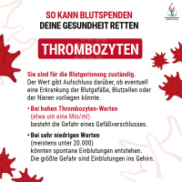 SO KANN BLUTSPENDEN DEINE GESUNDHEIT RETTEN THROMBOZYTEN Sie sind für die Blutgerinnung zuständig. Der Wert gibt Aufschluss darüber, ob eventuell eine Erkrankung der Blutgefäße, Blutzellen oder der Nieren vorliegen könnte. • Bei hohen Thrombozyten-Werten 